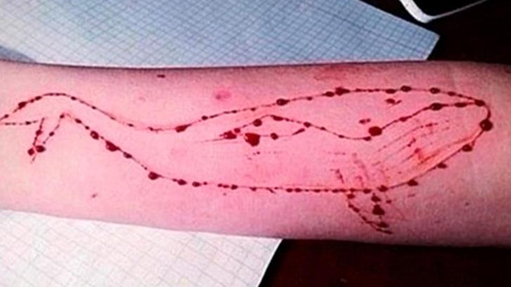 ನನ್ನ ಪುತ್ರ 5 ಬಾರಿ ಆತ್ಮಹತ್ಯೆಗೆ ಯತ್ನಿಸಿದ್ದ: ಕೇರಳ ಲೇಖಕಿ